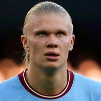 mbti 百科(埃尔林·哈兰德)头像